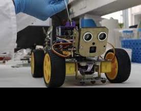 Israeli scientists develop sniffing robot with locust antennae 