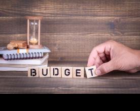 Union Budget 2025: Pharma, healthcare sectors seek 3% budget allocation