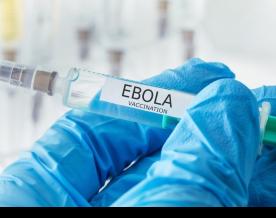 Scientists find potential new drug target to prevent Ebola