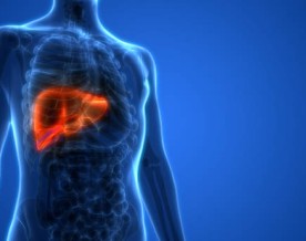 Liver fat, not weight, predicts health risks in children with obesity, scientists say