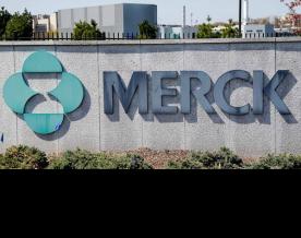 Merck in talks to buy Harpoon Therapeutics for around $700 mln 
