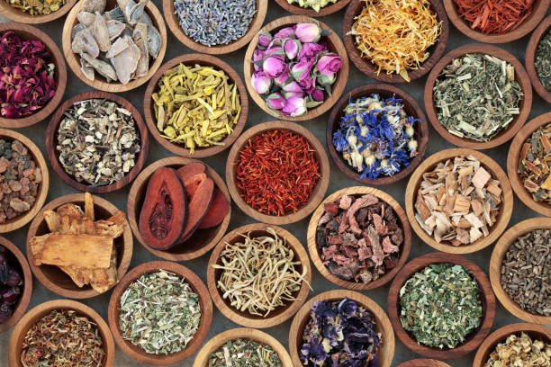 India's Ayurveda product market to reach Rs 1.2 lakh crore by FY28: Study