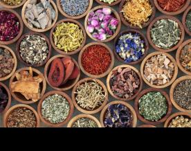 India's Ayurveda product market to reach Rs 1.2 lakh crore by FY28: Study